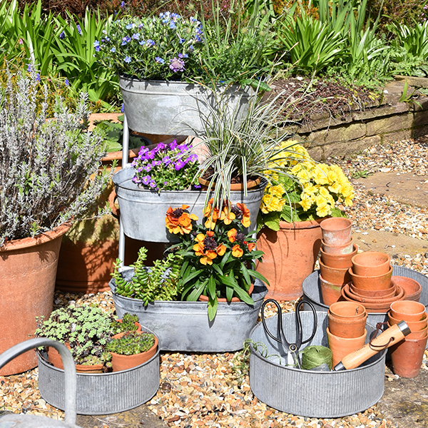 Gisela Graham Ltd profile image 3