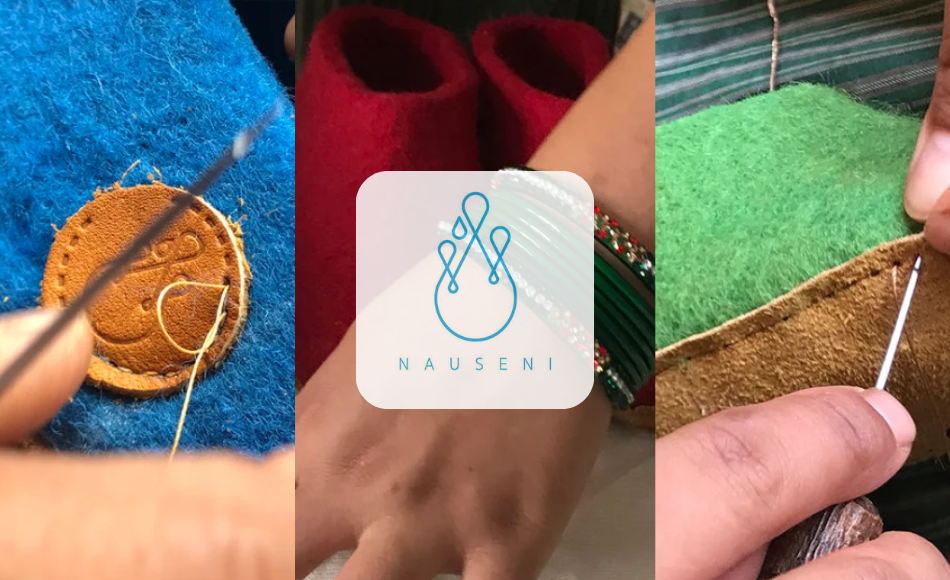 NAUSENI Ltd Logo