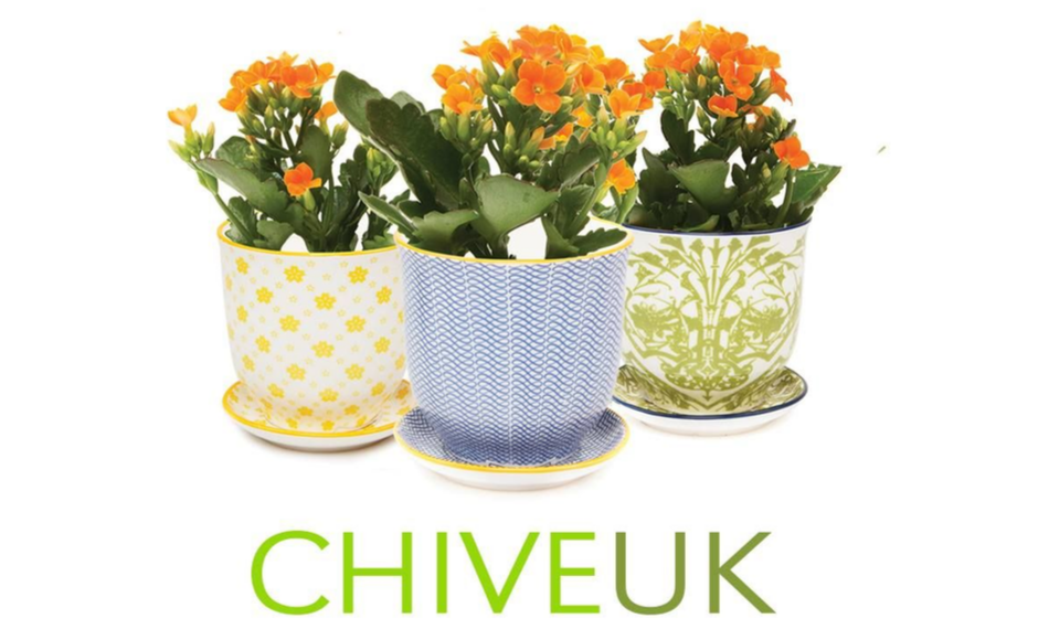 Chive UK Ltd
