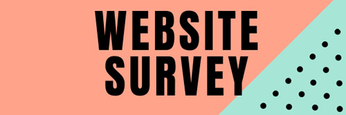 WEBSITE SURVEY