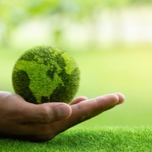 Sustainability